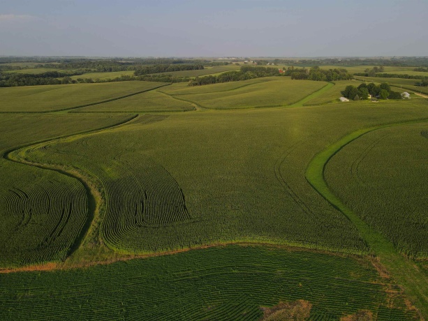 000 Capp, MORRISON, Illinois 61270, ,Land,For Sale,Capp,202604756
