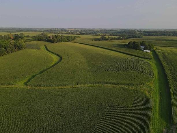 000 Capp, MORRISON, Illinois 61270, ,Land,For Sale,Capp,202604756