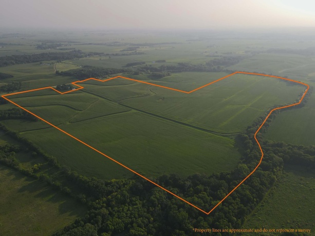 000 Capp, MORRISON, Illinois 61270, ,Land,For Sale,Capp,202604756