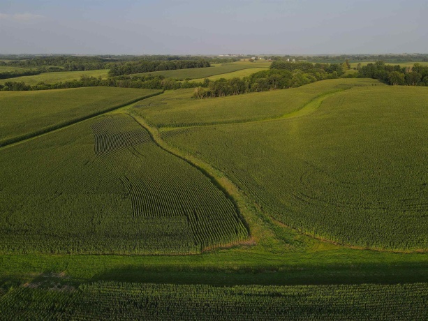 000 Capp, MORRISON, Illinois 61270, ,Land,For Sale,Capp,202604756
