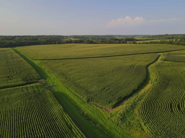 000 Capp, MORRISON, Illinois 61270, ,Land,For Sale,Capp,202604756