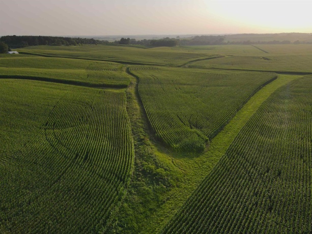 000 Capp, MORRISON, Illinois 61270, ,Land,For Sale,Capp,202604756