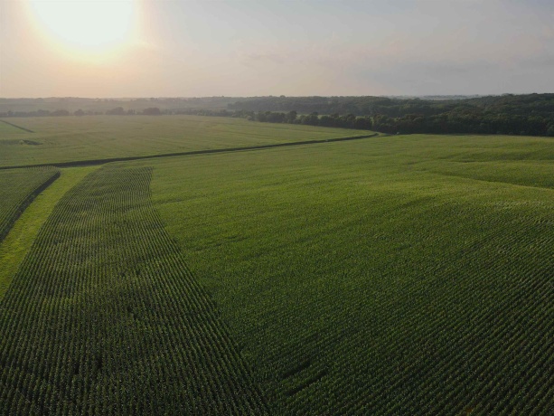 000 Capp, MORRISON, Illinois 61270, ,Land,For Sale,Capp,202604756