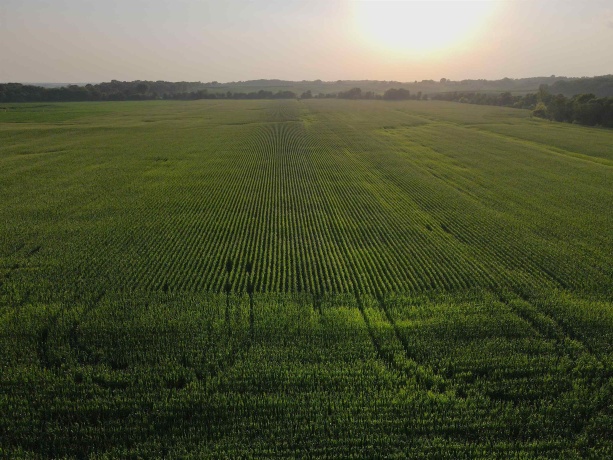 000 Capp, MORRISON, Illinois 61270, ,Land,For Sale,Capp,202604756