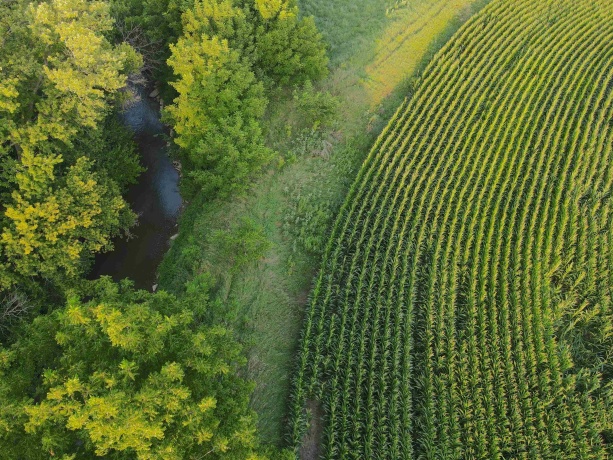 000 Capp, MORRISON, Illinois 61270, ,Land,For Sale,Capp,202604756