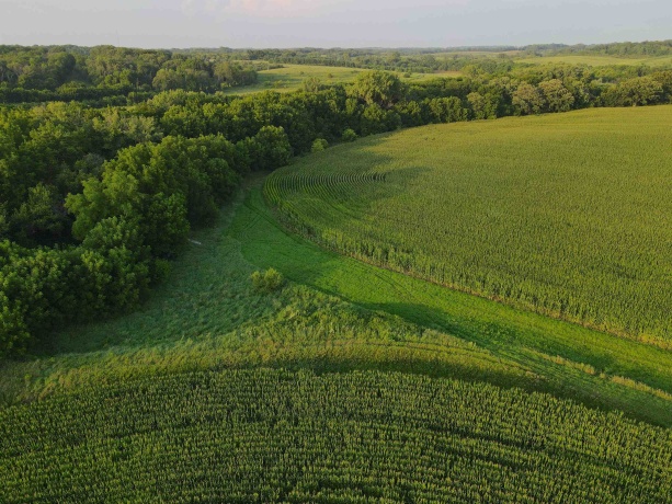 000 Capp, MORRISON, Illinois 61270, ,Land,For Sale,Capp,202604756