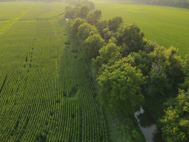 000 Capp, MORRISON, Illinois 61270, ,Land,For Sale,Capp,202604756