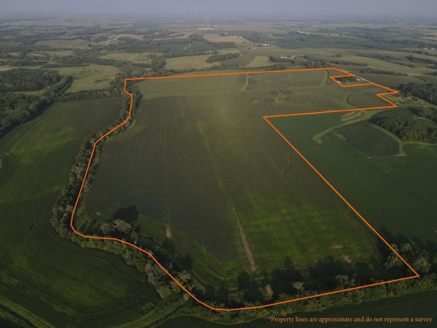 000 Capp, MORRISON, Illinois 61270, ,Land,For Sale,Capp,202604756