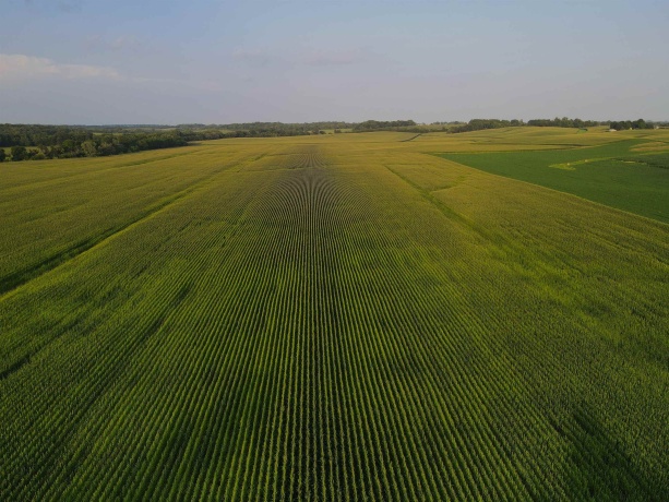 000 Capp, MORRISON, Illinois 61270, ,Land,For Sale,Capp,202604756