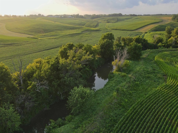 000 Capp, MORRISON, Illinois 61270, ,Land,For Sale,Capp,202604756
