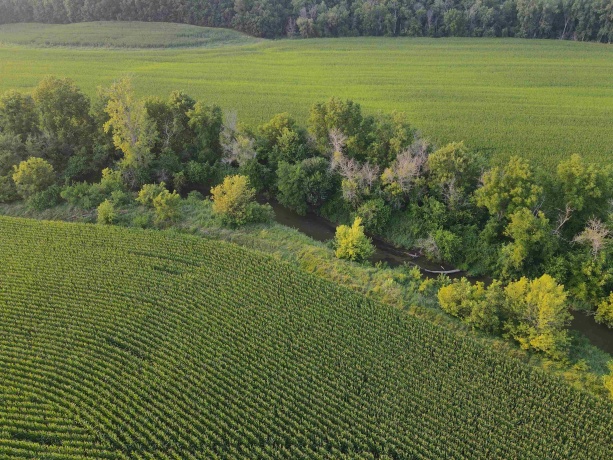 000 Capp, MORRISON, Illinois 61270, ,Land,For Sale,Capp,202604756