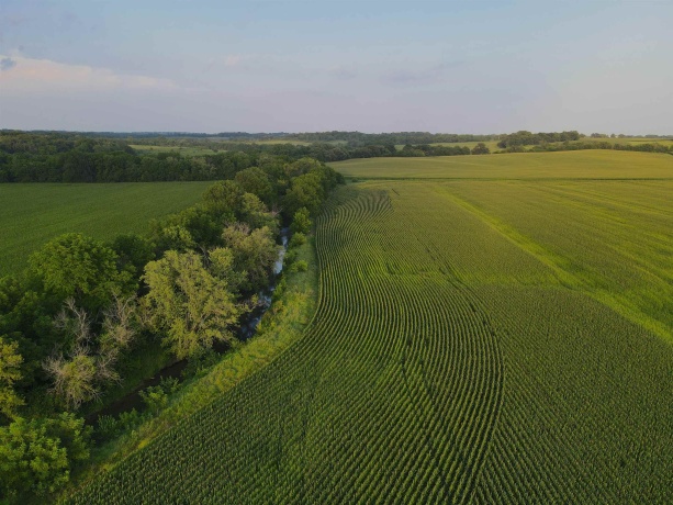 000 Capp, MORRISON, Illinois 61270, ,Land,For Sale,Capp,202604756