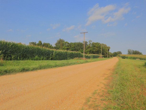 000 Capp, MORRISON, Illinois 61270, ,Land,For Sale,Capp,202604756