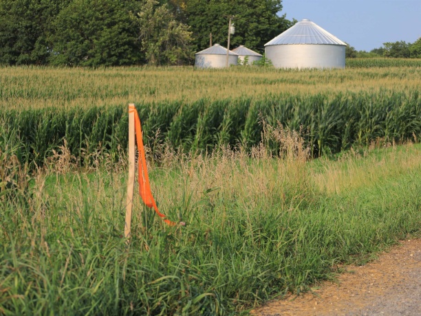 000 Capp, MORRISON, Illinois 61270, ,Land,For Sale,Capp,202604756