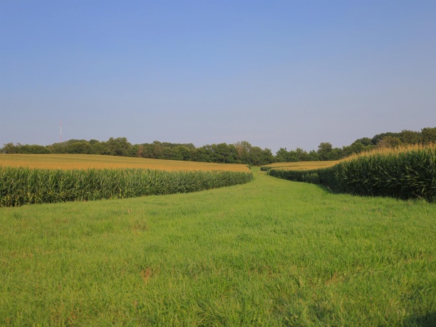 000 Capp, MORRISON, Illinois 61270, ,Land,For Sale,Capp,202604756