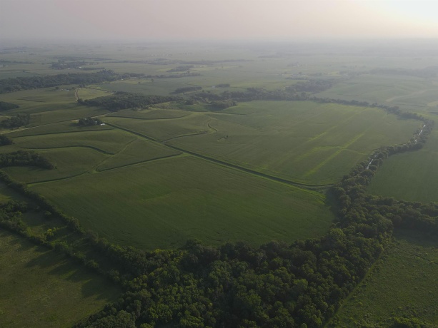 000 Capp, MORRISON, Illinois 61270, ,Land,For Sale,Capp,202604756