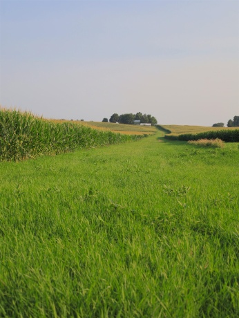 000 Capp, MORRISON, Illinois 61270, ,Land,For Sale,Capp,202604756