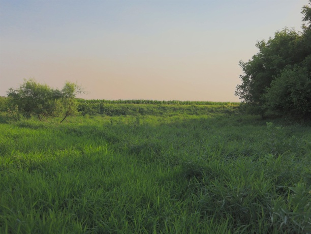 000 Capp, MORRISON, Illinois 61270, ,Land,For Sale,Capp,202604756