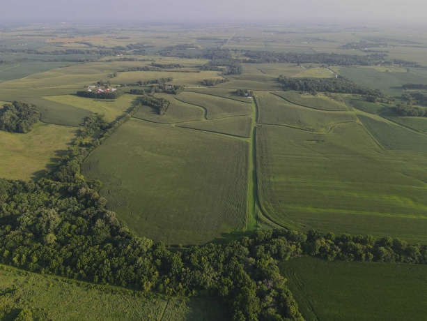 000 Capp, MORRISON, Illinois 61270, ,Land,For Sale,Capp,202604756