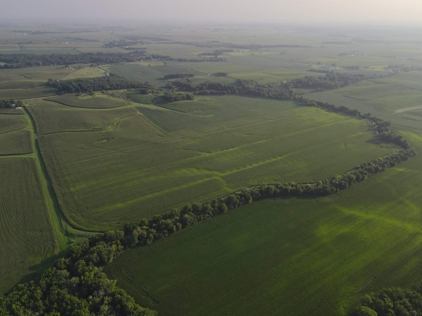 000 Capp, MORRISON, Illinois 61270, ,Land,For Sale,Capp,202604756