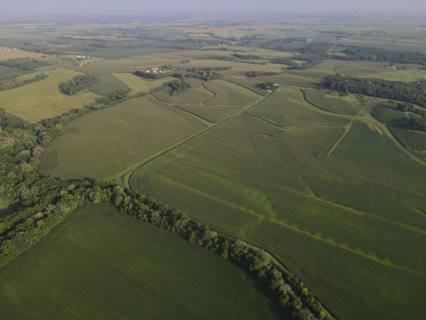 000 Capp, MORRISON, Illinois 61270, ,Land,For Sale,Capp,202604756