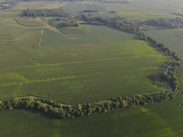 000 Capp, MORRISON, Illinois 61270, ,Land,For Sale,Capp,202604756