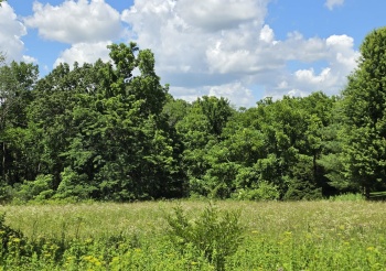 21 Cameron, GALENA, Illinois 61036, ,Land,For Sale,Cameron,202604758