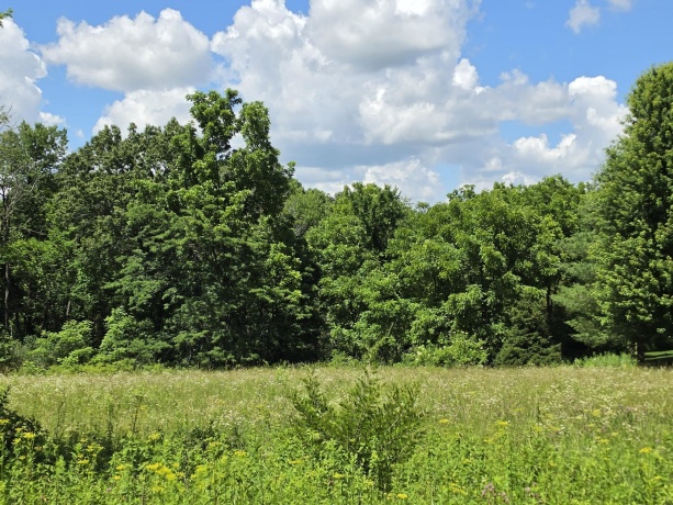 21 Cameron, GALENA, Illinois 61036, ,Land,For Sale,Cameron,202604758