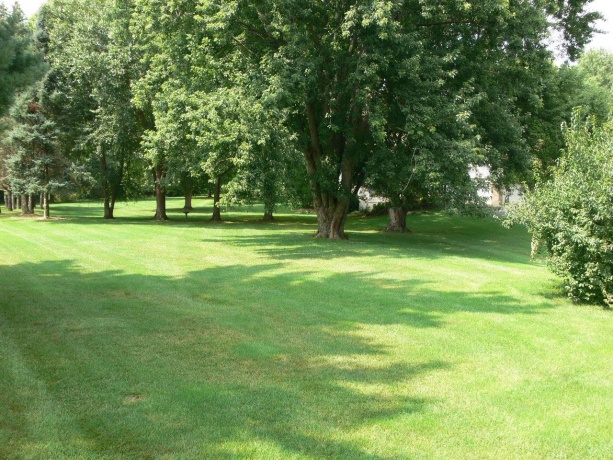 12388 Squirrel Tree, BELVIDERE, Illinois 61008, 3 Bedrooms Bedrooms, ,2 BathroomsBathrooms,House,For Sale,Squirrel Tree,202604907