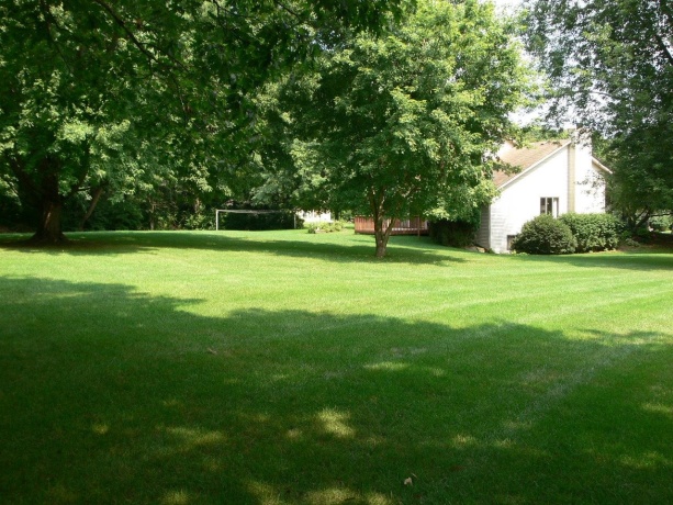 12388 Squirrel Tree, BELVIDERE, Illinois 61008, 3 Bedrooms Bedrooms, ,2 BathroomsBathrooms,House,For Sale,Squirrel Tree,202604907