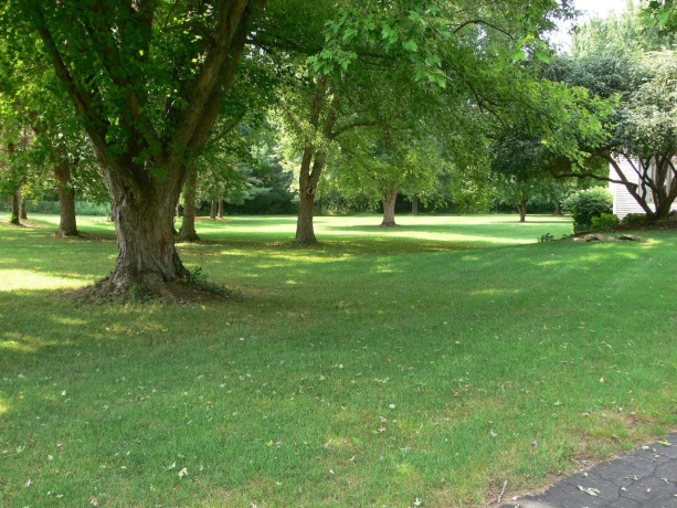 12388 Squirrel Tree, BELVIDERE, Illinois 61008, 3 Bedrooms Bedrooms, ,2 BathroomsBathrooms,House,For Sale,Squirrel Tree,202604907