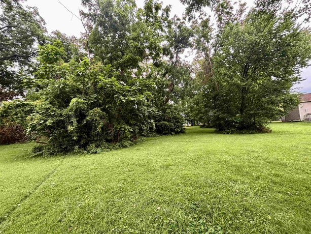 524 Lincoln, BELVIDERE, Illinois 61008, ,Land,For Sale,Lincoln,202604930
