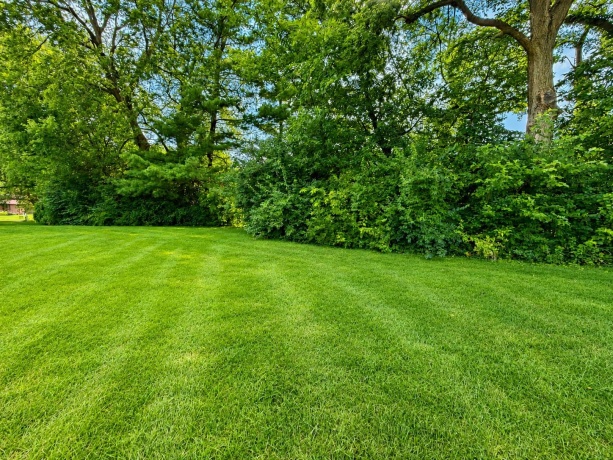 1285 Brandywine, ROCKFORD, Illinois 61103, 2 Bedrooms Bedrooms, ,2 BathroomsBathrooms,Condominium,For Sale,Brandywine,202604933