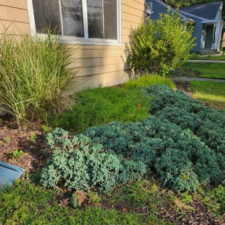 1208 Scottswood Rd., ROCKFORD, Illinois 61107, 3 Bedrooms Bedrooms, ,1 BathroomBathrooms,House,For Sale,Scottswood Rd.,202604957