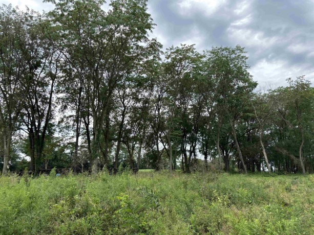 Lot 3 Golf View Estates Phase II, GALENA, Illinois 61036, ,Land,For Sale,Golf View Estates Phase II,202604997