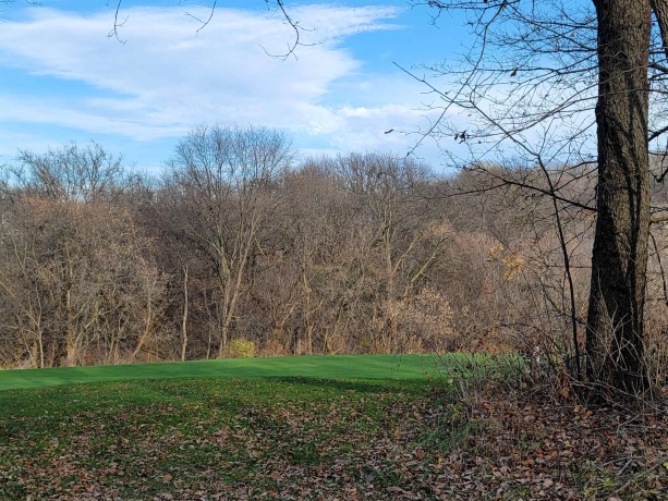 2 Vermilion, GALENA, Illinois 61036, ,Land,For Sale,Vermilion,202605000