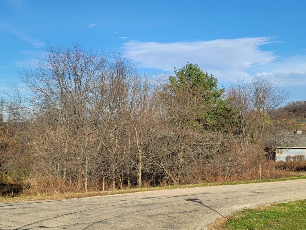 2 Vermilion, GALENA, Illinois 61036, ,Land,For Sale,Vermilion,202605000