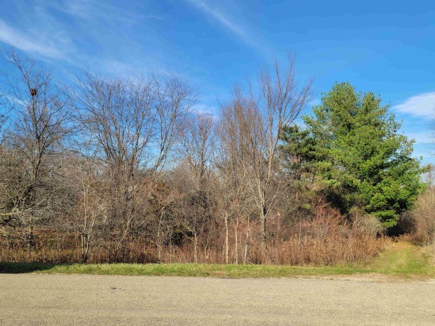 2 Vermilion, GALENA, Illinois 61036, ,Land,For Sale,Vermilion,202605000