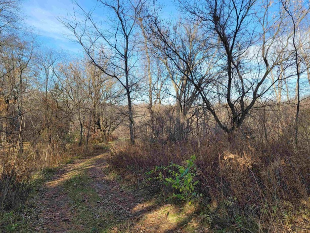 2 Vermilion, GALENA, Illinois 61036, ,Land,For Sale,Vermilion,202605000