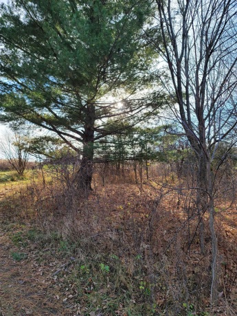 2 Vermilion, GALENA, Illinois 61036, ,Land,For Sale,Vermilion,202605000