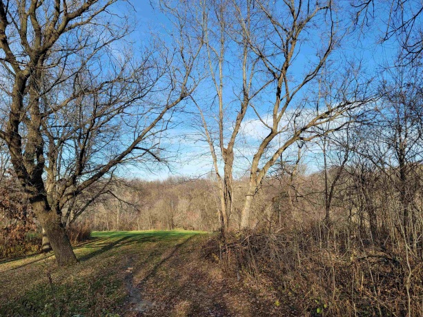 2 Vermilion, GALENA, Illinois 61036, ,Land,For Sale,Vermilion,202605000