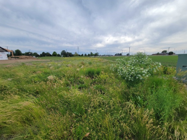 16 Pointe, Peru, Illinois 61354, ,Land,For Sale,Pointe,202605023