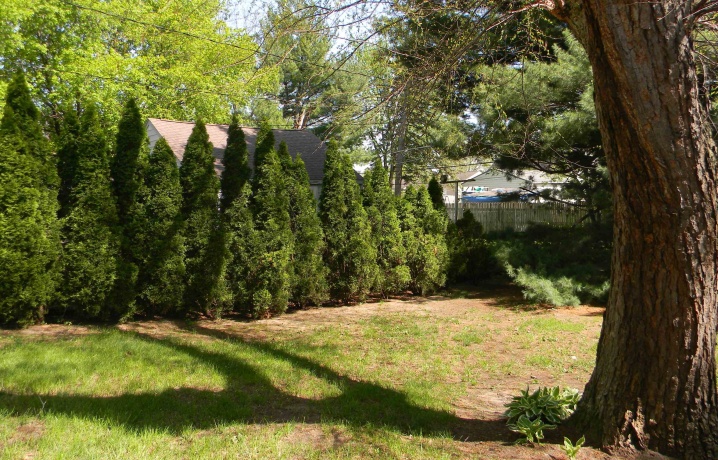 1824 Crestwood, ROCKFORD, Illinois 61103, 3 Bedrooms Bedrooms, ,1 BathroomBathrooms,House,For Sale,Crestwood,202605027