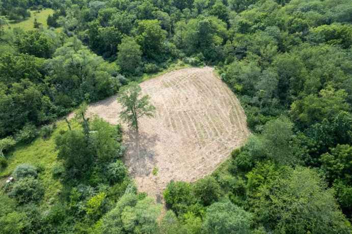 6460 Skinner, STILLMAN VALLEY, Illinois 61084, ,Land,For Sale,Skinner,202605083
