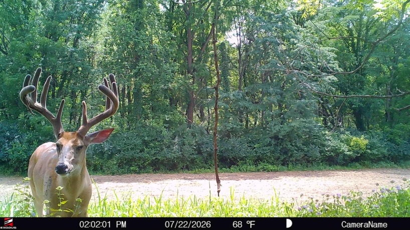 6460 Skinner, STILLMAN VALLEY, Illinois 61084, ,Land,For Sale,Skinner,202605083