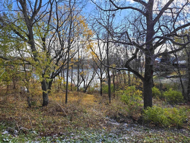 1A55 Raindance, APPLE RIVER, Illinois 61001, ,Land,For Sale,Raindance,202505555