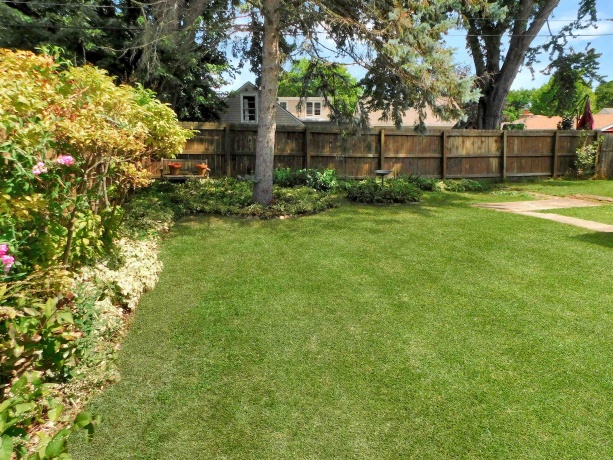 1007 Luther, ROCKFORD, Illinois 61107, 3 Bedrooms Bedrooms, ,1 BathroomBathrooms,House,For Sale,Luther,202605145