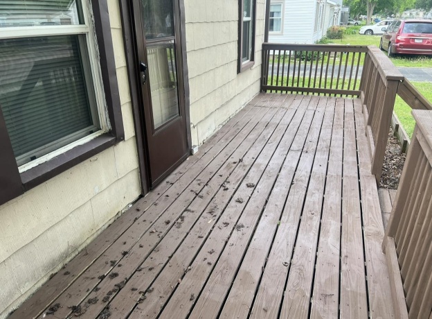 904 Drexel, MACHESNEY PARK, Illinois 61115, 3 Bedrooms Bedrooms, ,1 BathroomBathrooms,House,For Sale,Drexel,202602907