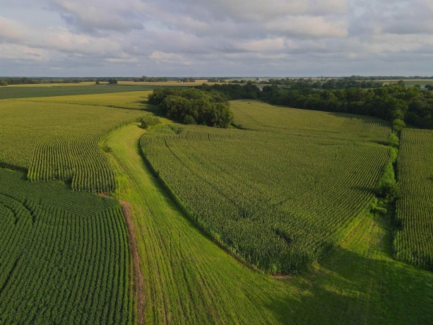 000 210th, ALL OTHERS, Illinois 61342, ,Land,For Sale,210th,202605262