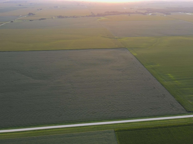 000 210th, ALL OTHERS, Illinois 61342, ,Land,For Sale,210th,202605262